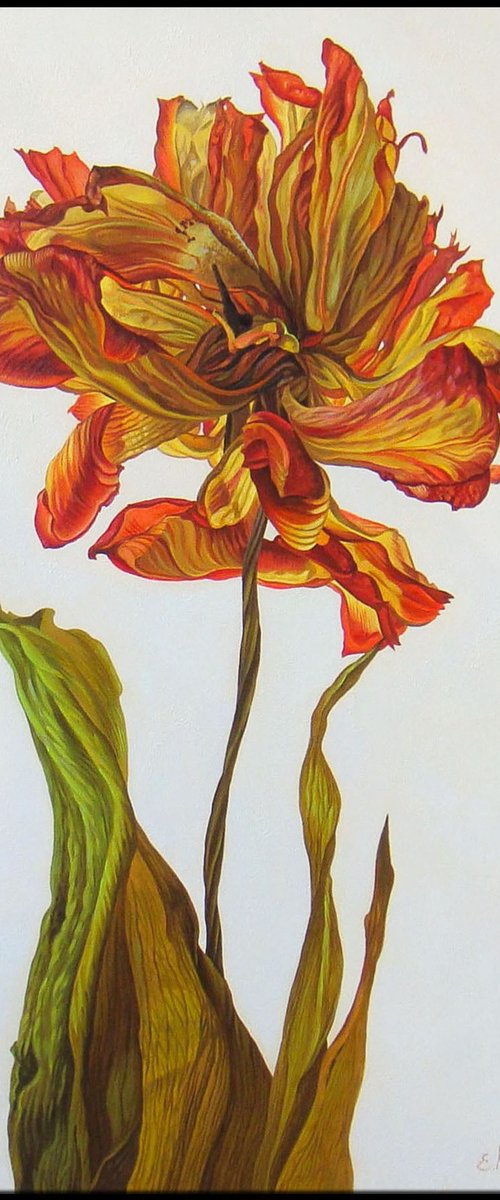 Red Flower, Exclusive Oil Art by Irini Karpikioti