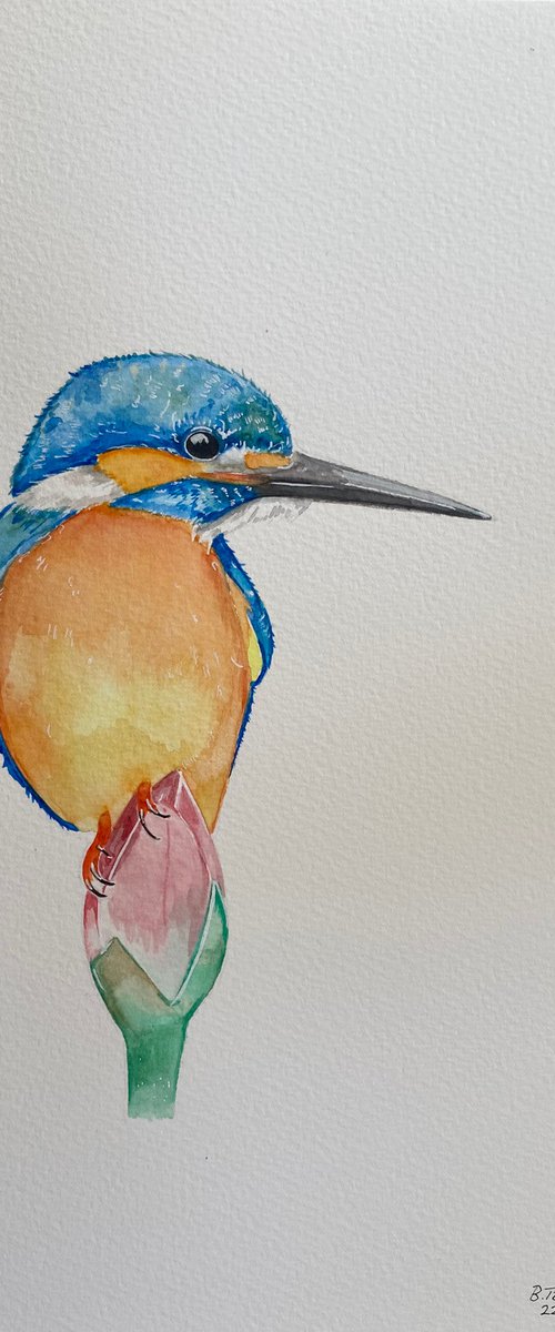 King of the river no2 watercolour painting by Bethany Taylor