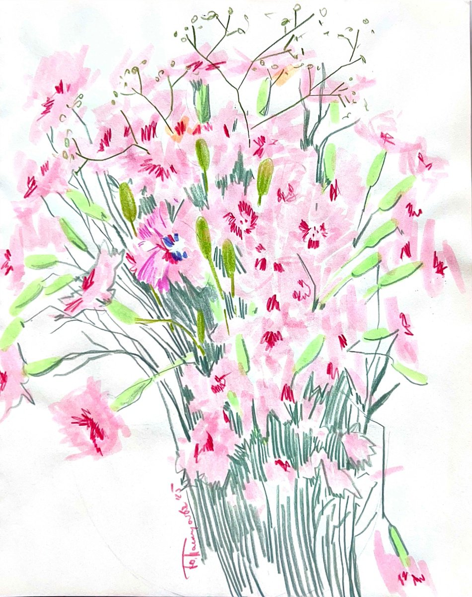 Illustrative Botanical Pencil Drawing By Yuliia Pastukhova, 9 X 12", Carnations Flowers, Original Artwork
