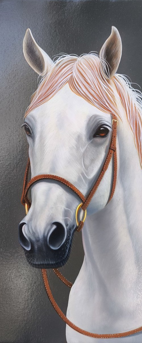 Noble Elegance by Shahen Aleqsandryan