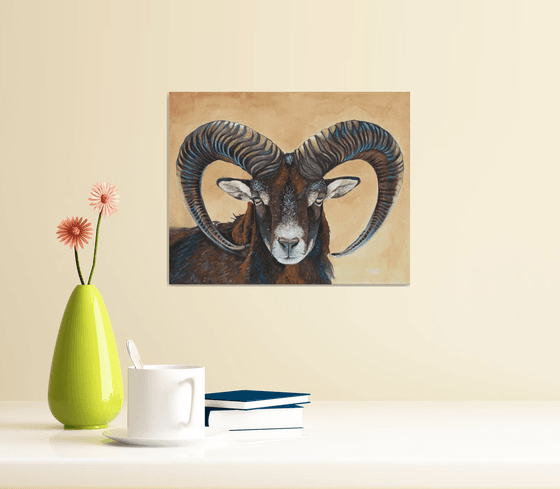 Bighorn sheep/Ram/Mountain goat portrait