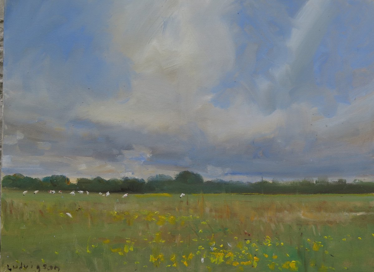 Summer Meadow, June 14 by Malcolm Ludvigsen