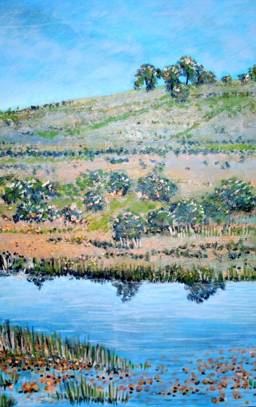 Picket Plain Pond by Paul J Best