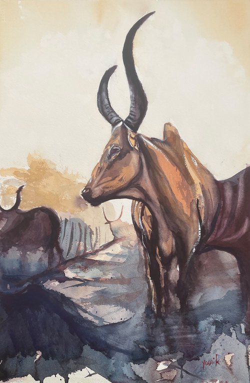 the Mundari tribe cattle by Yossi Kotler