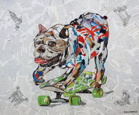 Bulldog on skateboard / Collage