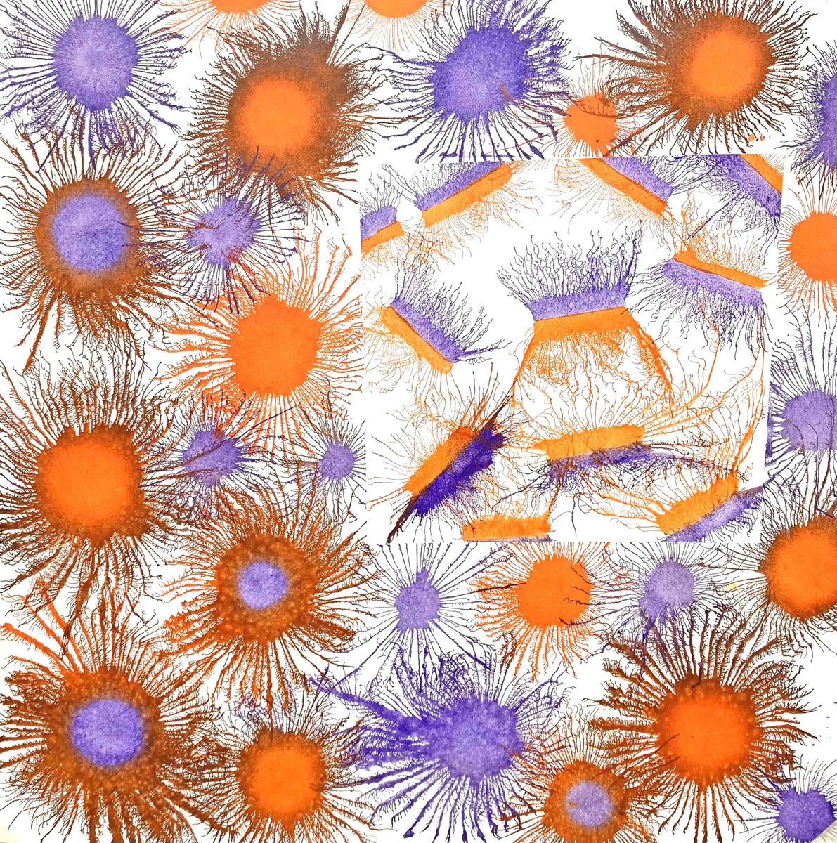 Abstract Acrylic Painting By Sumit Mehndiratta, 45 X 45", Exploflora Series Nº90, Original Artwork