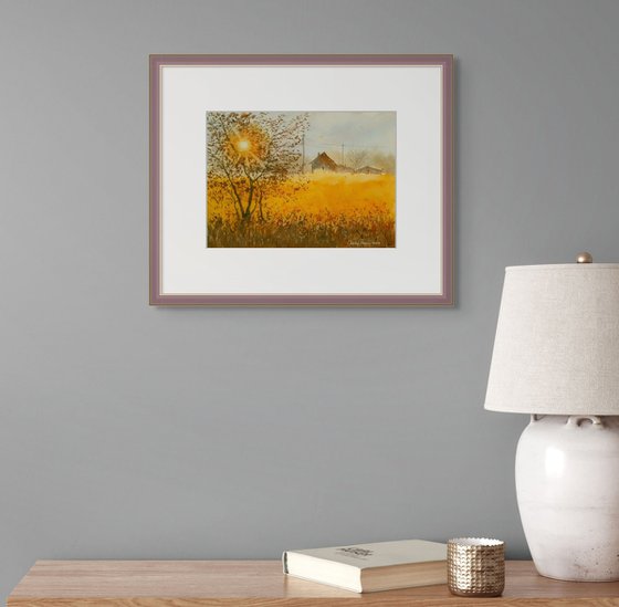 Barns at Sunset with Golden Fields