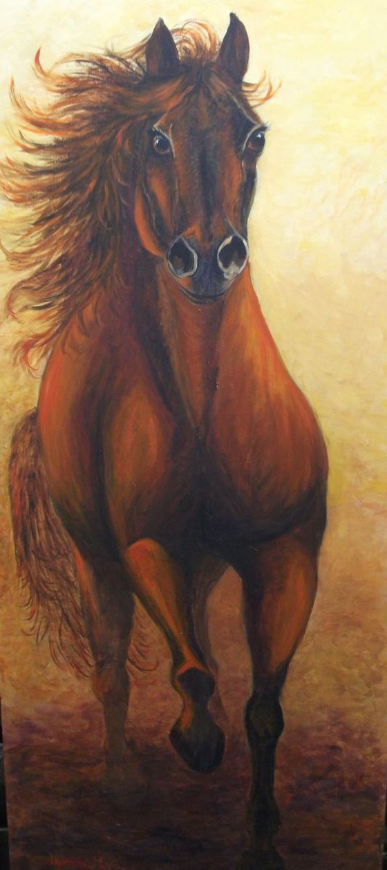 THE DARK HORSE