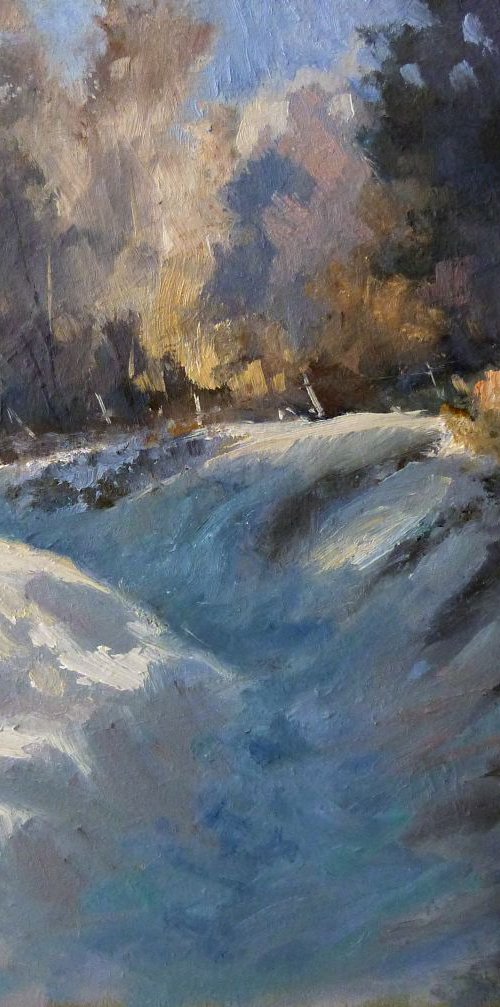 Snowy Path by Pascal Giroud