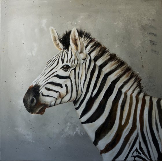 Portrait of a zebra