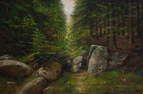 Through the Forest