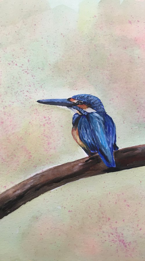 Kingfisher by Timea  Valsami