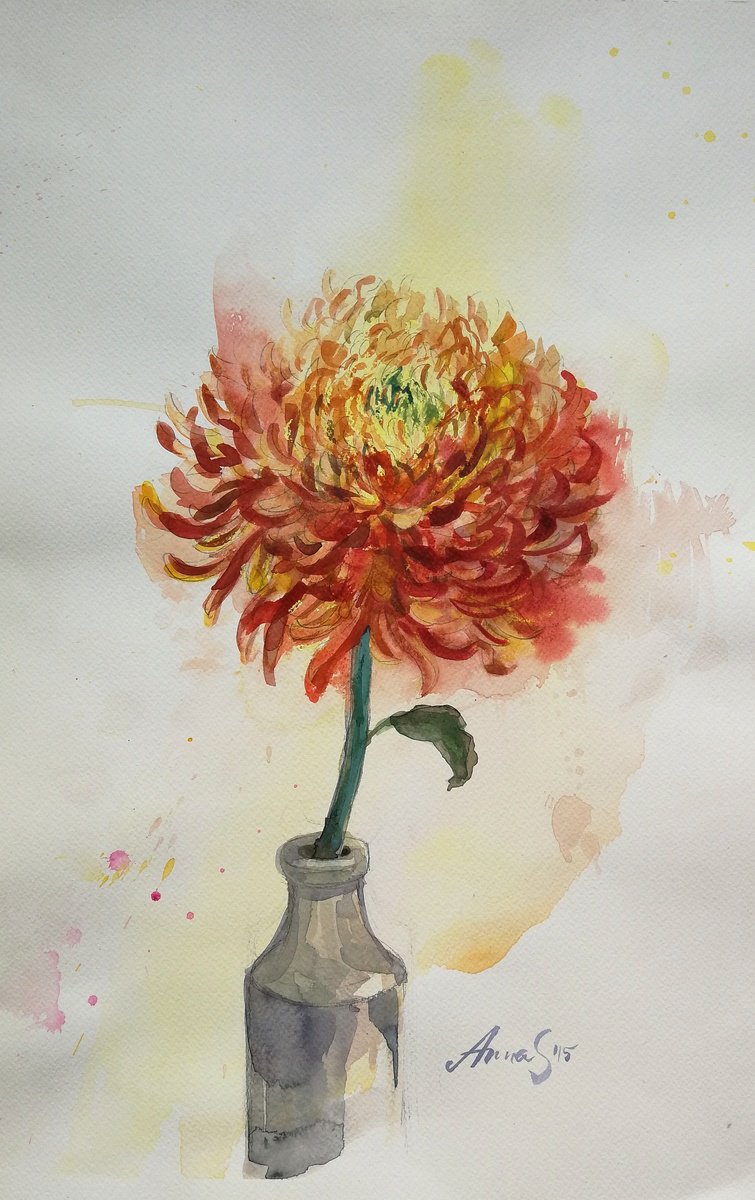 Illustrative Watercolour , Red Chrysanthemum By Anna Silabrama, 13 X 20, Artwork For Sale On Artfinder