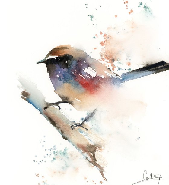 Colourful wren bird watercolor painting