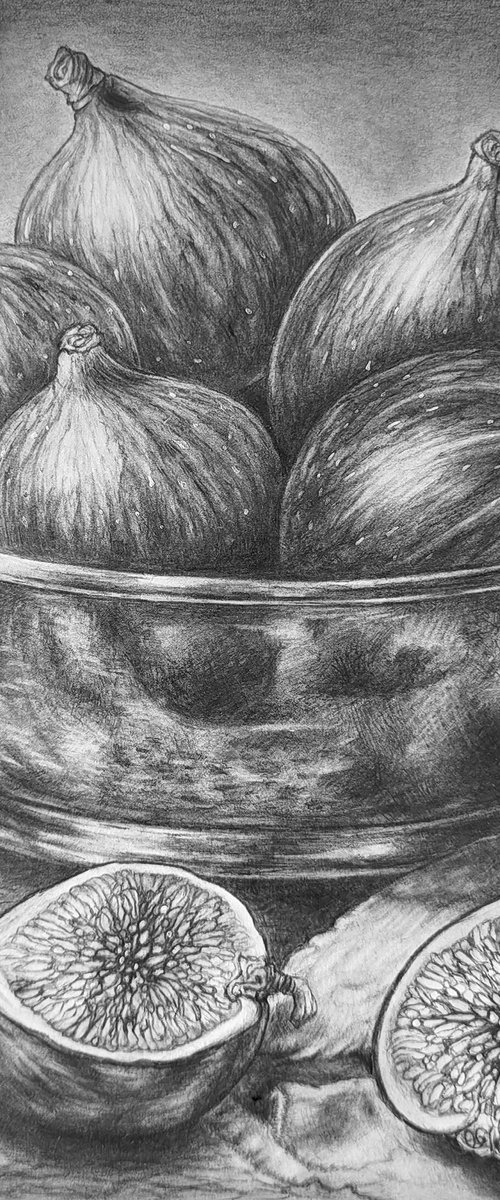 Figs by DIANA ARTY