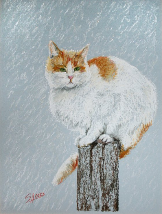 Cat II / FROM THE ANIMAL PORTRAITS SERIES / ORIGINAL OIL PASTEL PAINTING