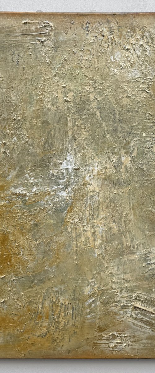 Fossil Light by Viki Smoliar