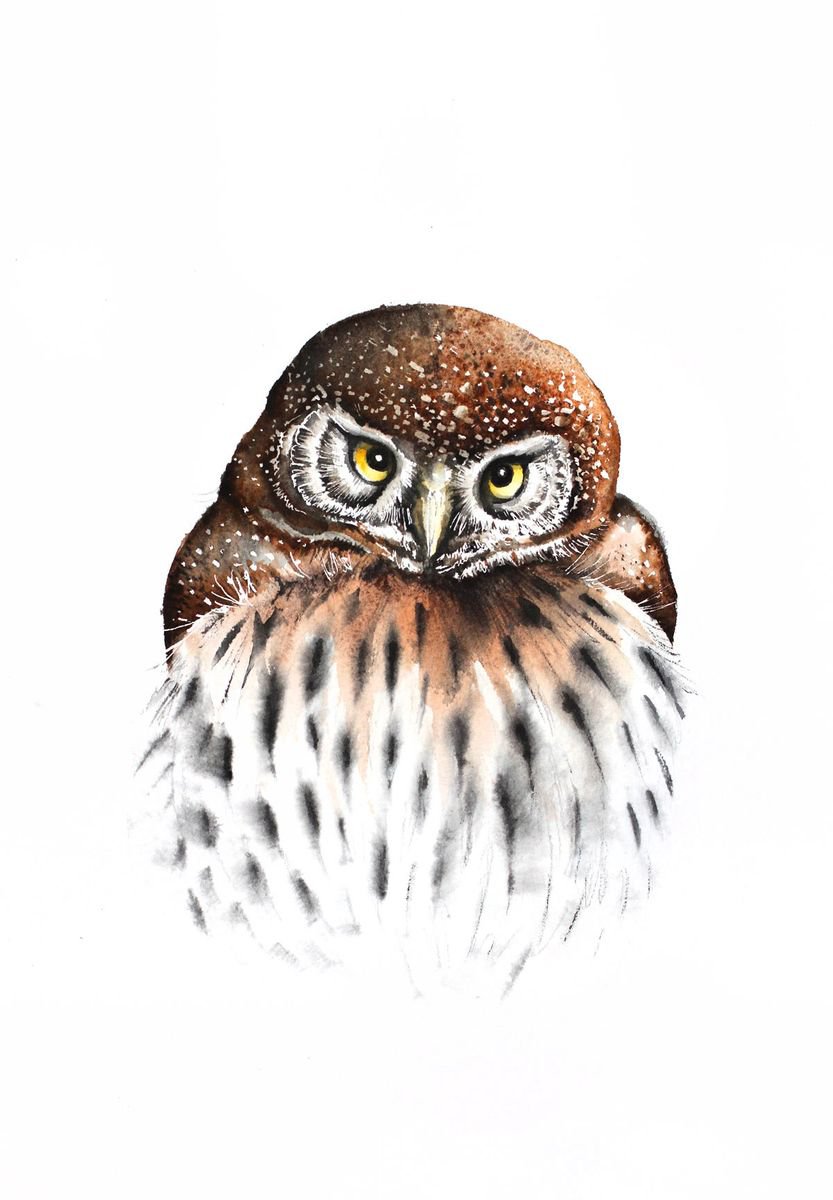 Owl portrait, wildlife, bird, watercolour painting by Karolina Kijak