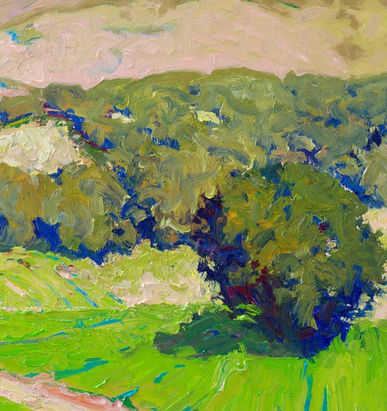 Californian Moutains. Summer Morning