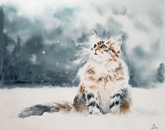 Snow cat