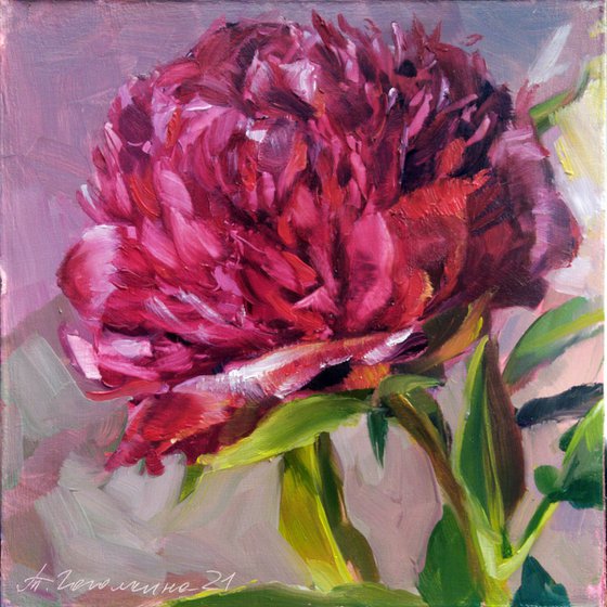 Red peony