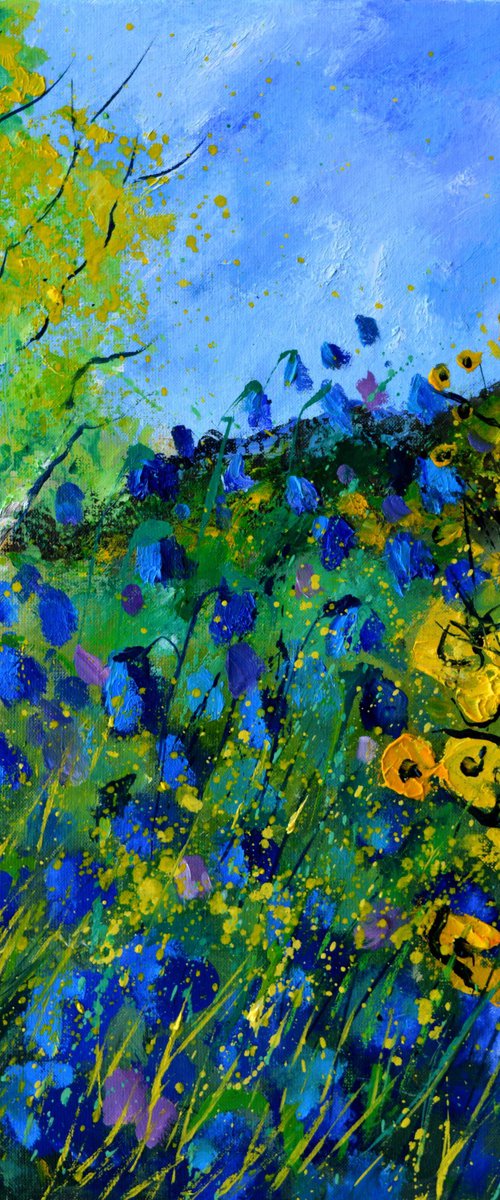 Summer blue flowers 5623 by Pol Henry Ledent