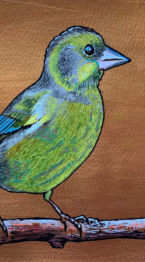 British Garden Birds series - Green finch by Karen Elaine  Evans