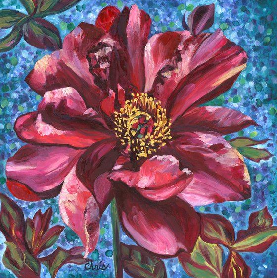 "Cora Louise" Peony I