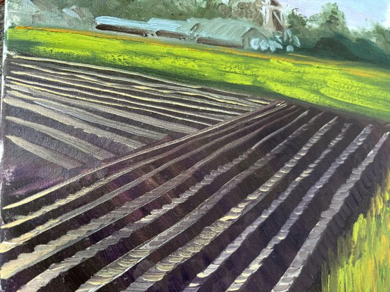 Plowed Field in Wachtum