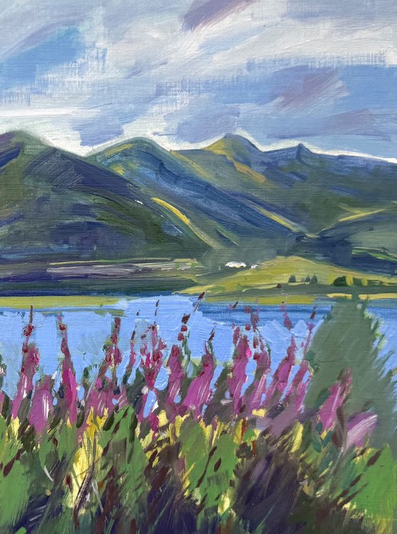 Loch Lomond, willowherb