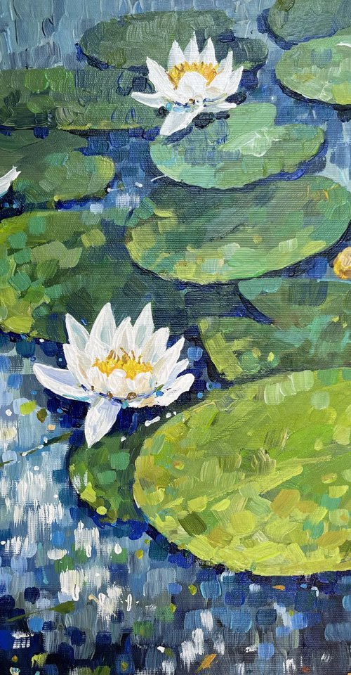 Water lilies. Impression. by Yevheniia Salamatina