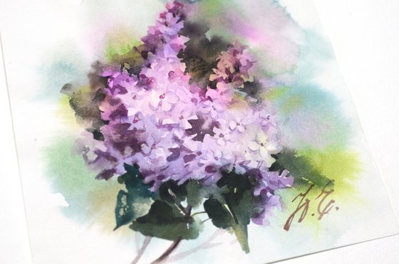 Spring blossom, Lilac in watercolor