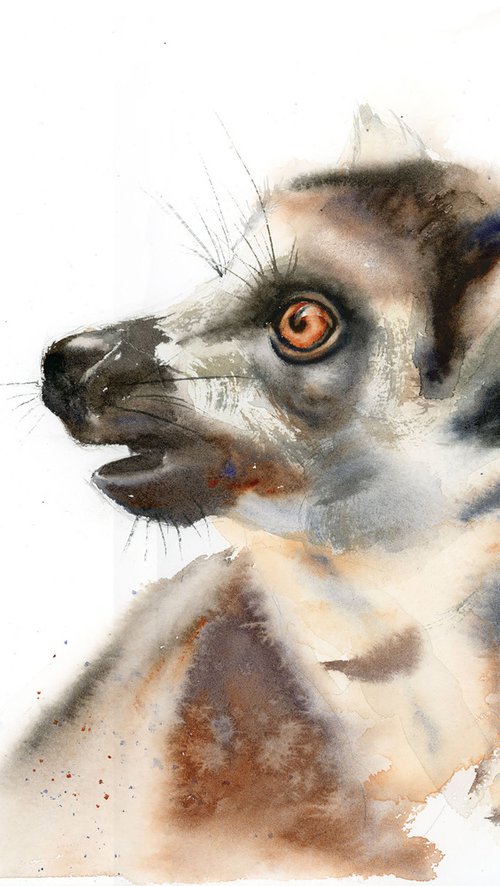 Lemur portrait by Olga Tchefranov (Shefranov)