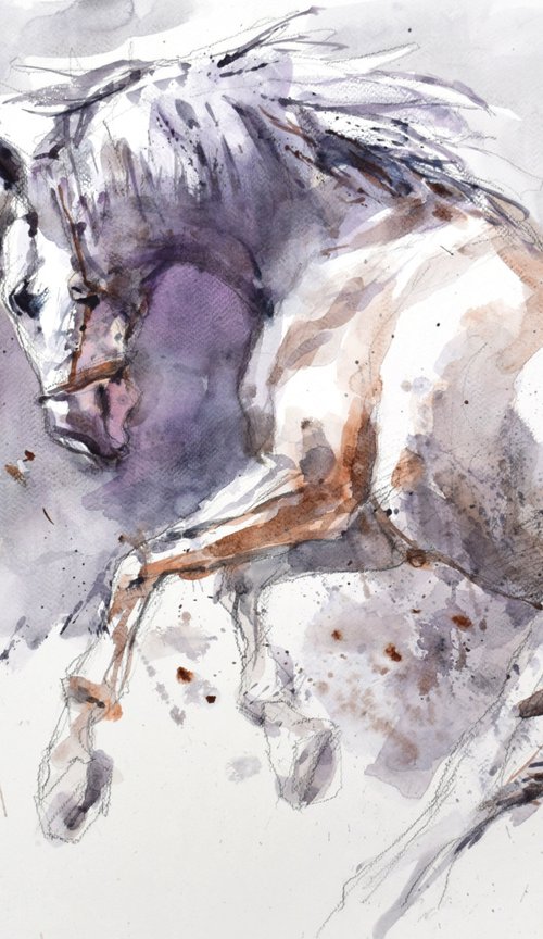 Horse in jump 9 by Goran Žigolić Watercolors