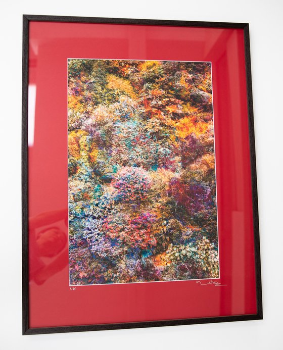 Wall of Nature LVI (Framed)