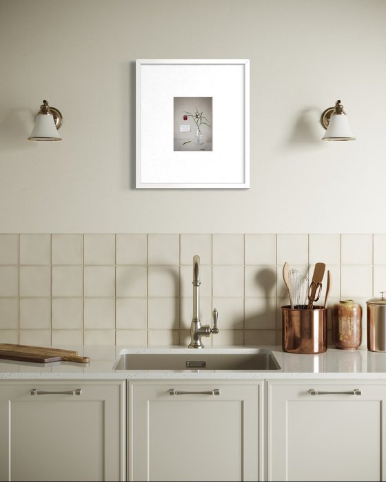 Fritillaria meleagris