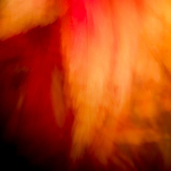 Wings of a Feather