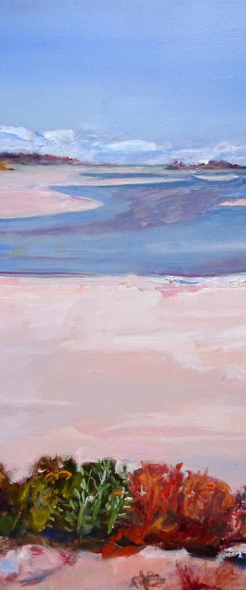 SEASCAPE - THE COORONG by Maureen Finck