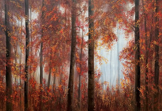 Autumn Forest in the Fog