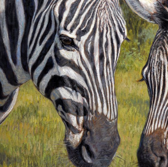 Zebras in the thick bush