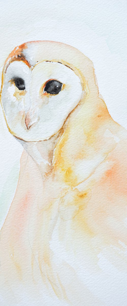 Barn Owl Watercolour Painting by Victoria Lucy Williams