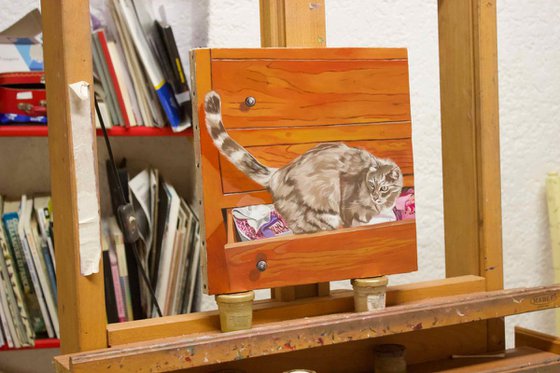 Ghibli in the chest of drawers, portrait of a grey cat by Anne Zamo