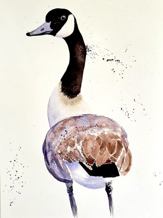 Curious duck Black long neck