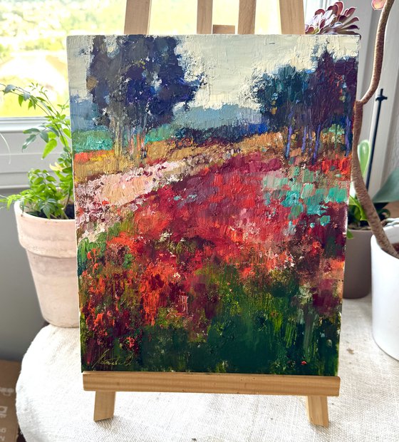 Poppy field