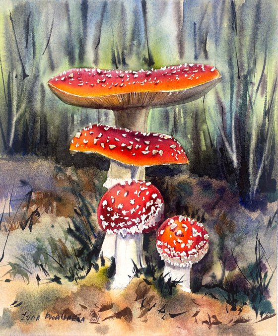 Sunlit Forest Mushrooms