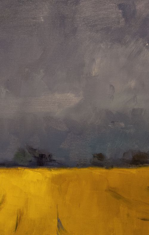 Dark Sky, Yellow Field by Andre Pallat