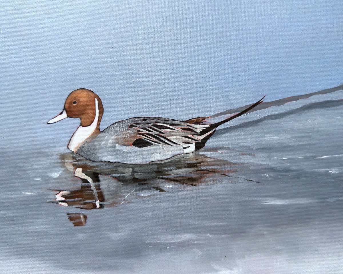 Illustrative Animal Oil Painting By Jem Gooding, 12 X 9, Pintail Duck, Original Artwork