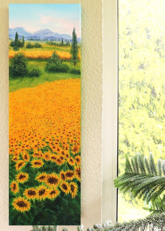 Sunflowers field in Tuscany