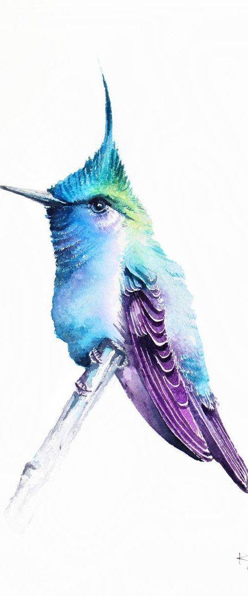 Hummingbird Green-crowned plovercrest,  birds, wildlife watercolours by Karolina Kijak