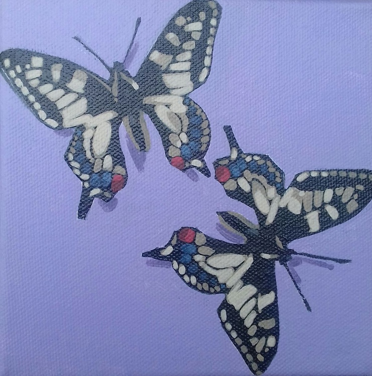 Butterflys Acrylic Painting By Matthew Stutely Artfinder
